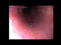 Poop  Movie - Curious teen wants to experience scat sex